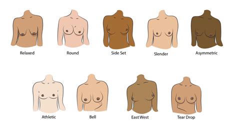 pointy nipple|The 12 Different Breast Shapes and Types